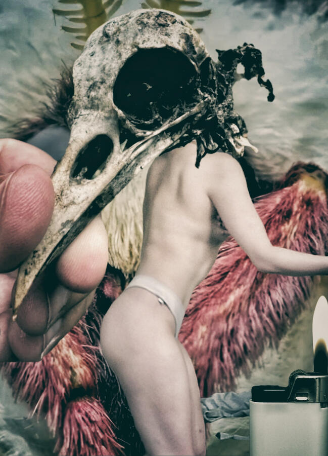 Untitled Untitled