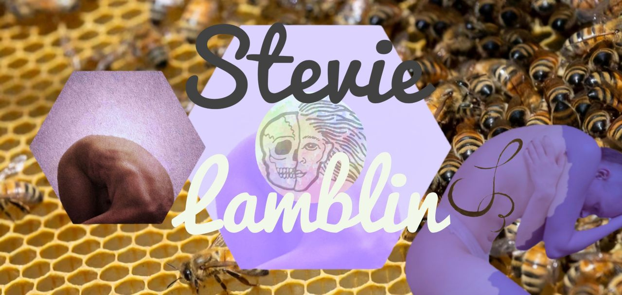 Welcome to my portfolio! My name's Stevie. I'm a non-binary choreographer, movement artist, and licensed therapist. I most recently have expanded into screen dance, creative direction, and production design. This portfolio includes work from all of my disc
