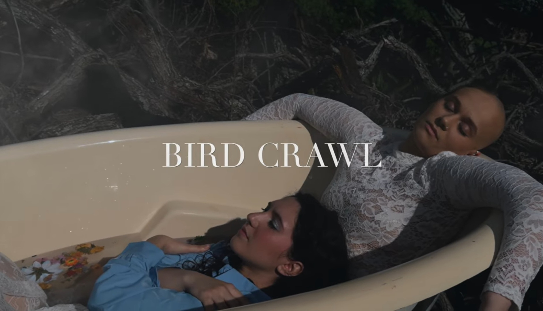 Bird Crawl